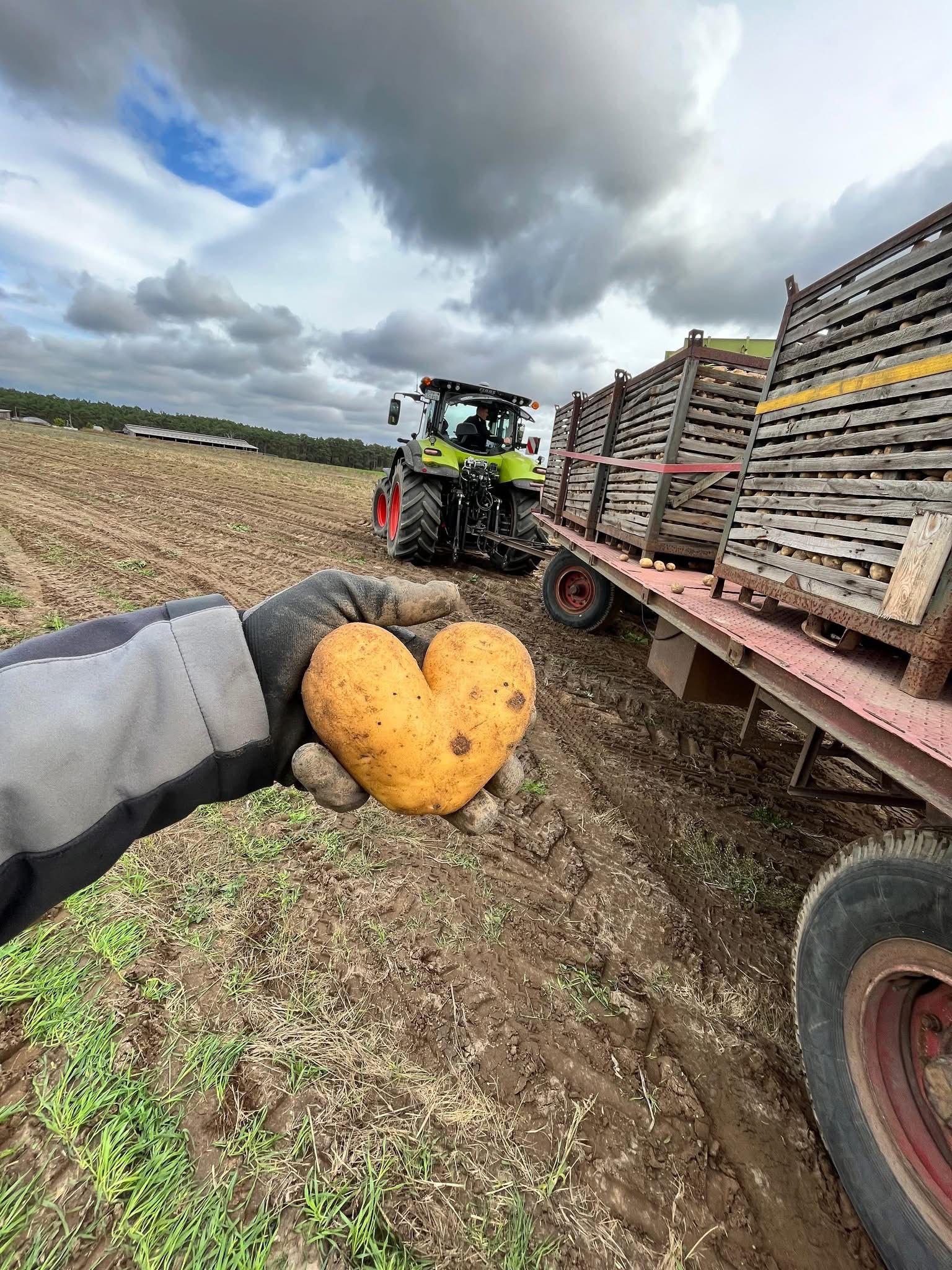 270 Jahre Kartoffelbefehl