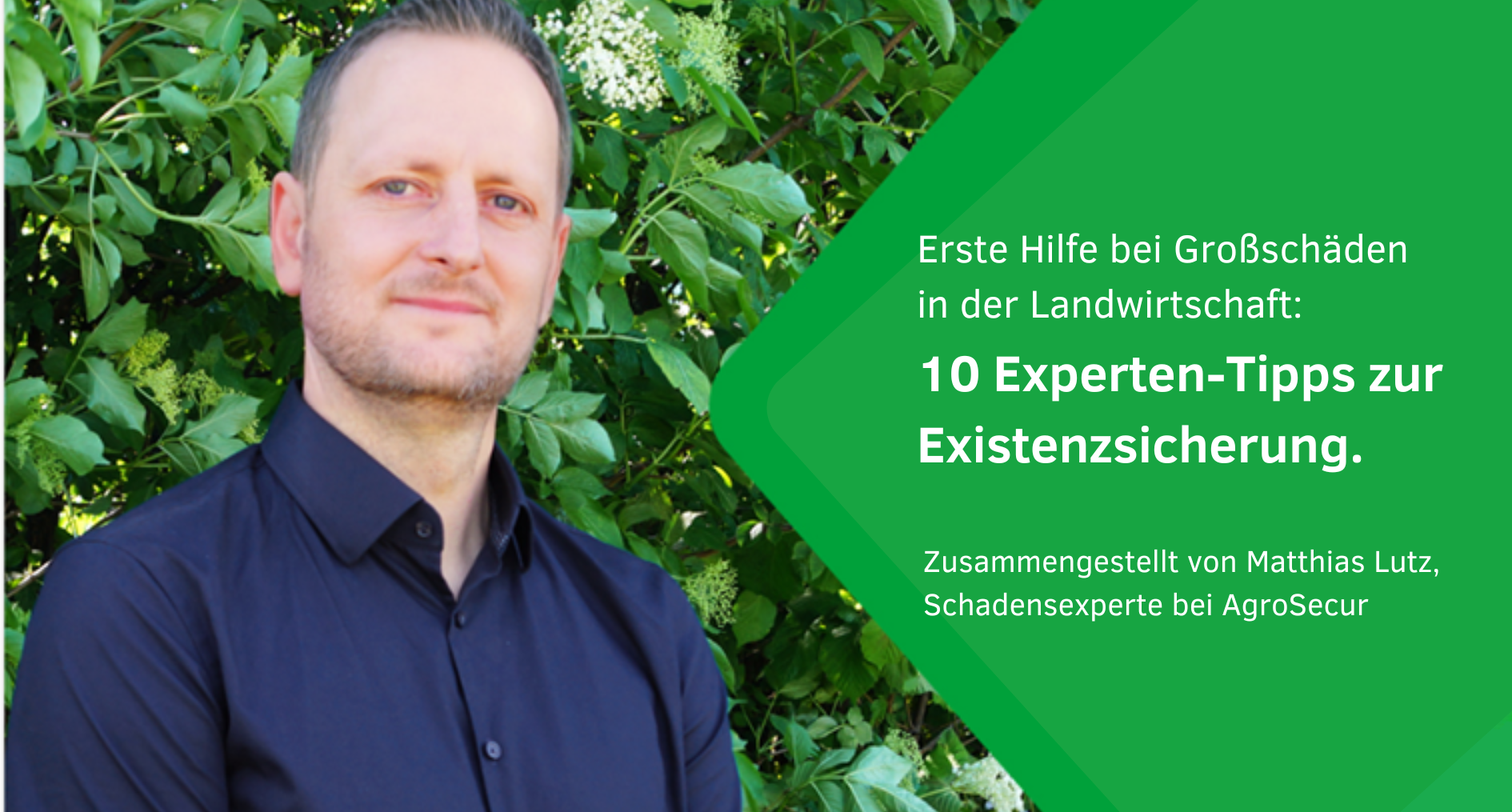 Porträt eines Mannes, Text zur Beratungsleistung