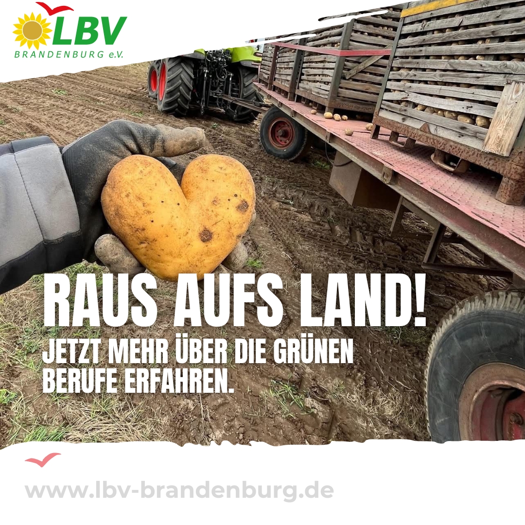 Grüne Berufe 