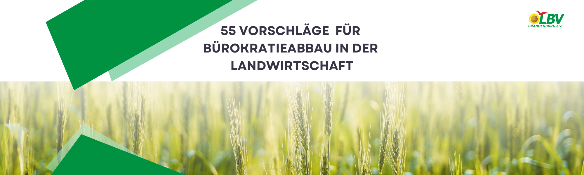 Grafik 55 Vorschläge Bürokratieabbau