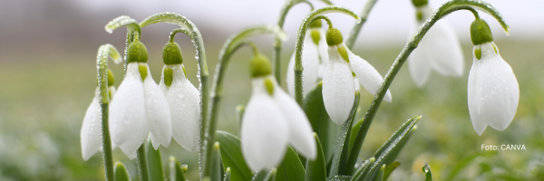 #agrardialog: Startschuss ins neue Anbaujahr 